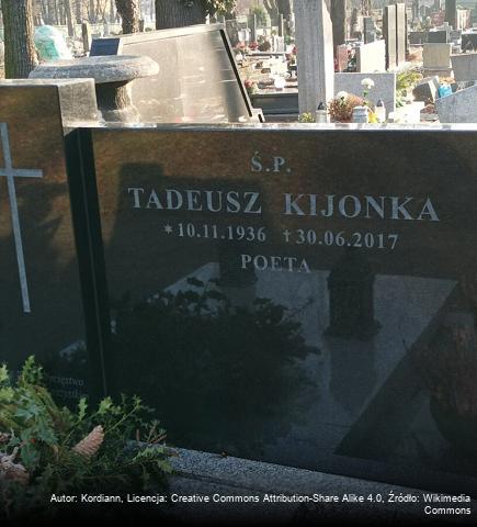 Tadeusz Kijonka